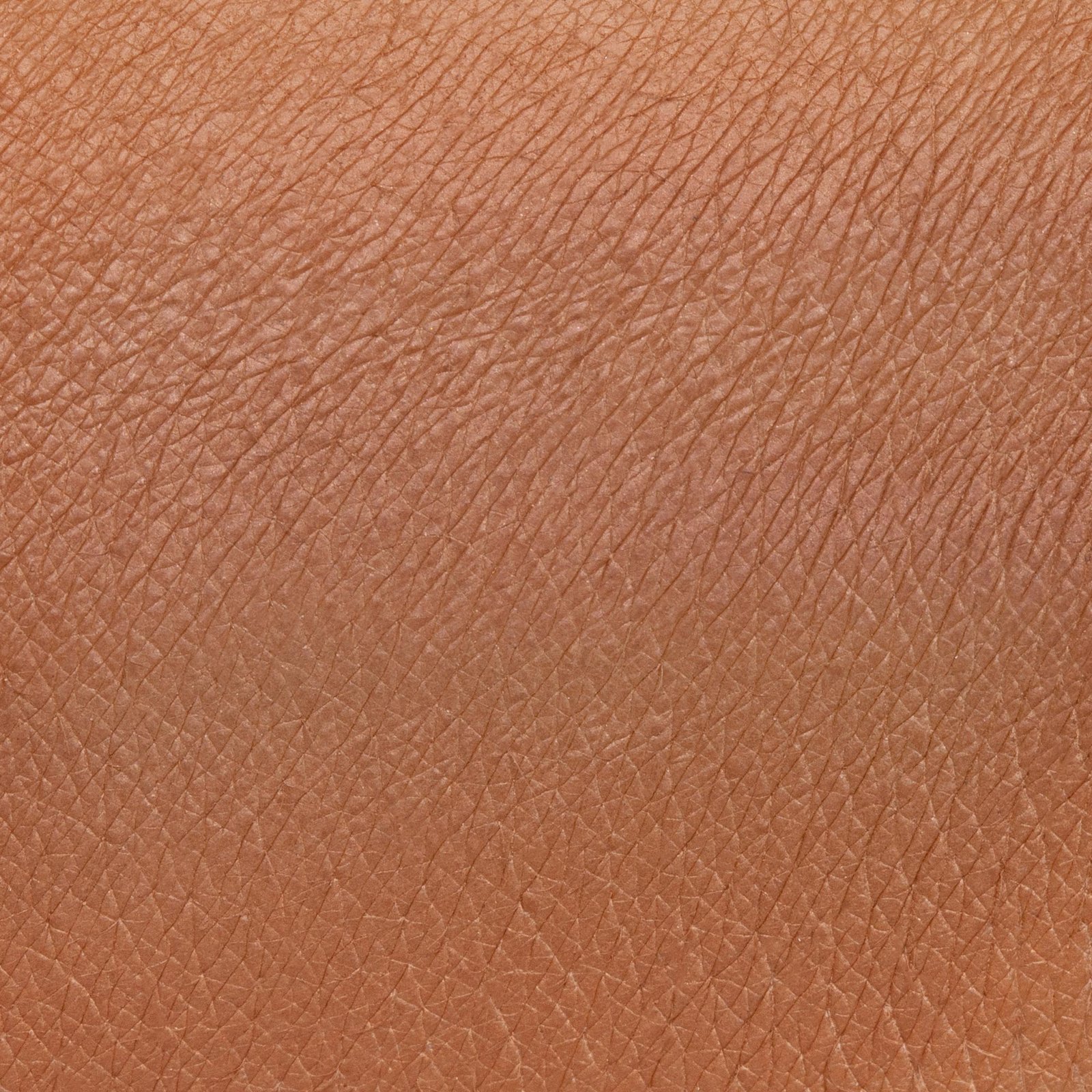 NEVE COSMETICS - Bronzer in cialda - Chocoholic - immagine 2