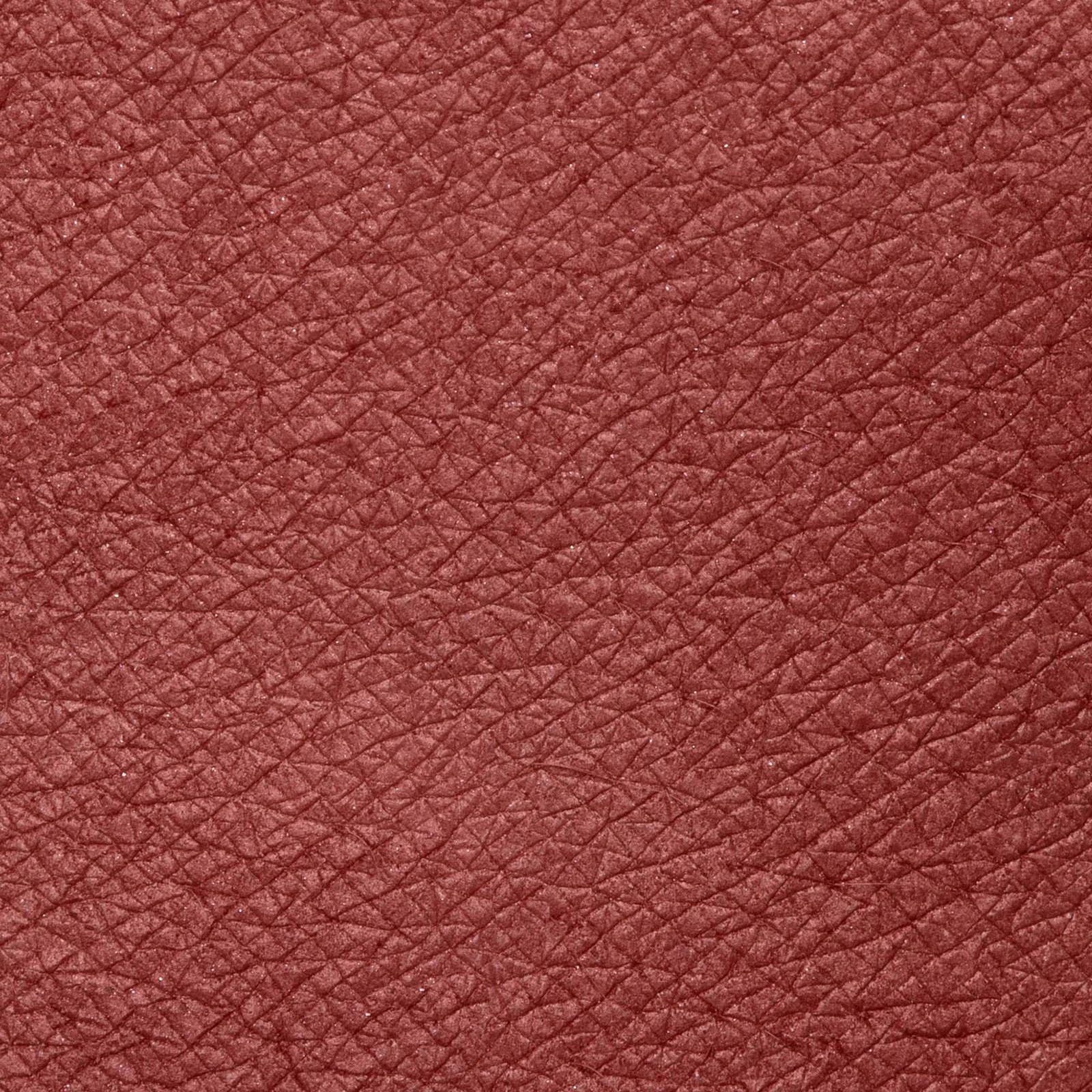 NEVE COSMETICS - Ombretto in Cialda - Oolong - immagine 2