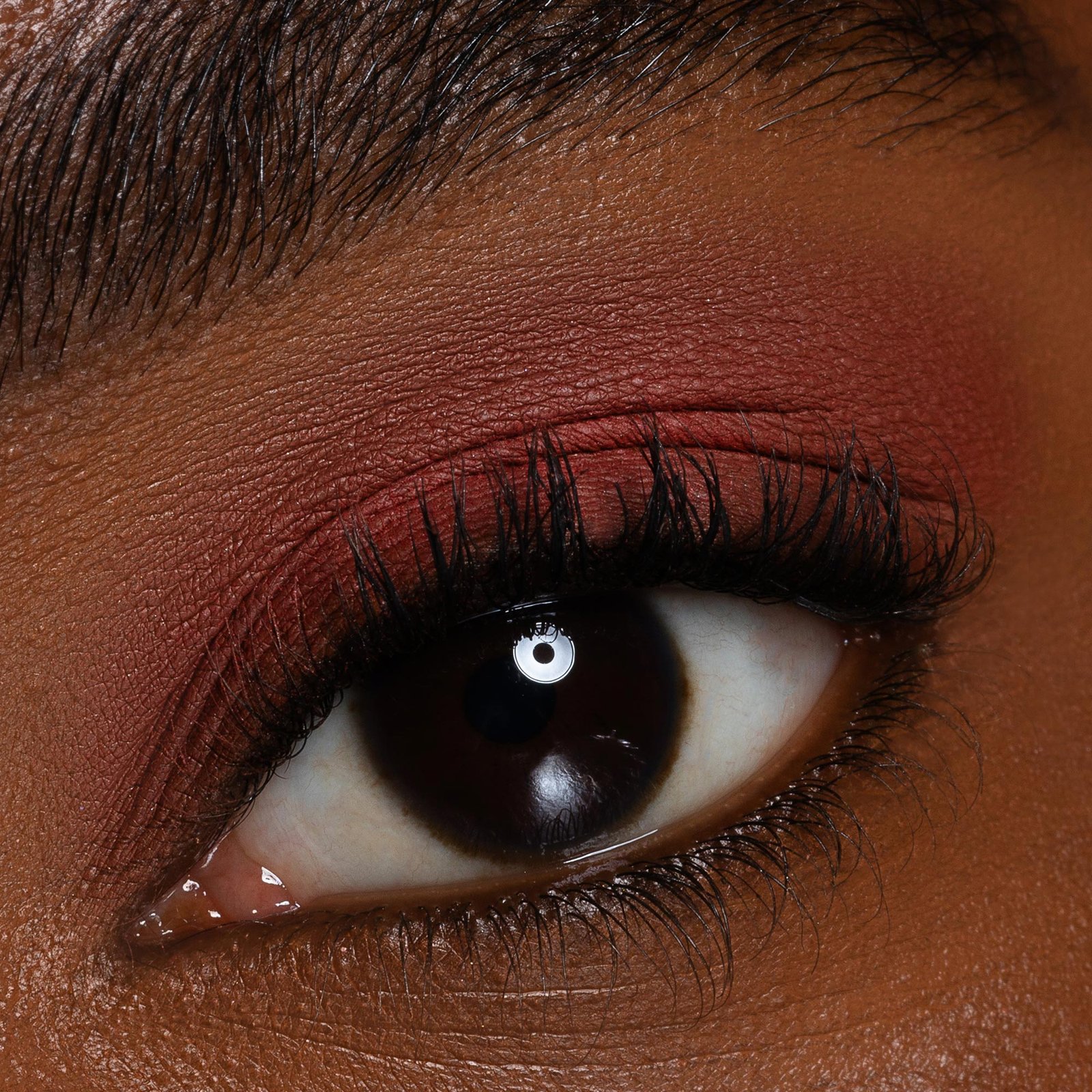 NEVE COSMETICS - Ombretto in Cialda - Oolong - immagine 6